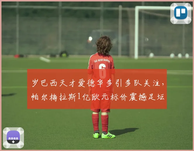 岁巴西天才爱德华多引多队关注,帕尔梅拉斯1亿欧元标价震撼足坛