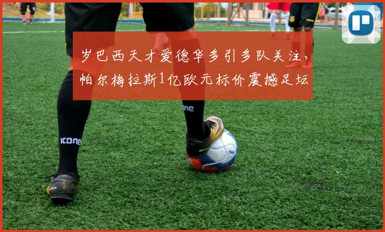 岁巴西天才爱德华多引多队关注,帕尔梅拉斯1亿欧元标价震撼足坛